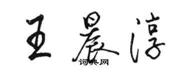 駱恆光王晨淳行書個性簽名怎么寫