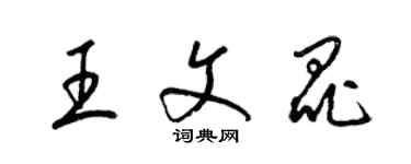 梁錦英王文昆草書個性簽名怎么寫