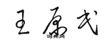 駱恆光王原民草書個性簽名怎么寫