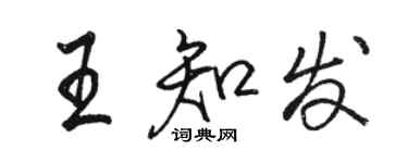 駱恆光王知發行書個性簽名怎么寫