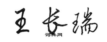 駱恆光王長瑞行書個性簽名怎么寫