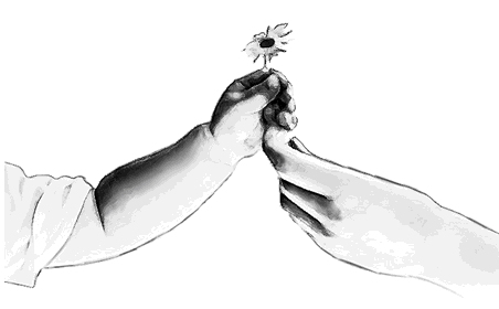 又是一年母親節_又是一年母親節作文