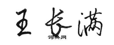駱恆光王長滿行書個性簽名怎么寫