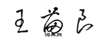 駱恆光王苗良草書個性簽名怎么寫