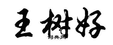 胡問遂王樹好行書個性簽名怎么寫