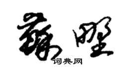 朱錫榮蘇野草書個性簽名怎么寫