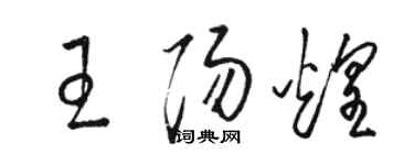駱恆光王陽煌草書個性簽名怎么寫
