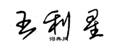 朱錫榮王利星草書個性簽名怎么寫