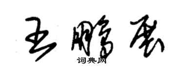 朱錫榮王鵬展草書個性簽名怎么寫