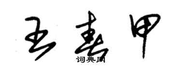 朱錫榮王春甲草書個性簽名怎么寫