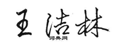 駱恆光王潔林行書個性簽名怎么寫