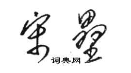 駱恆光宋壘草書個性簽名怎么寫