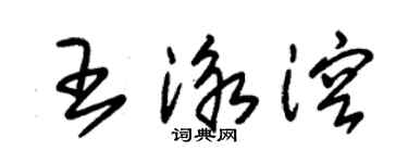 朱錫榮王泳溶草書個性簽名怎么寫