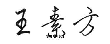 駱恆光王素方行書個性簽名怎么寫