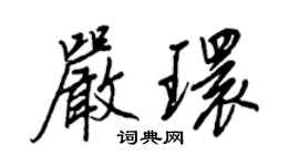 王正良嚴環行書個性簽名怎么寫