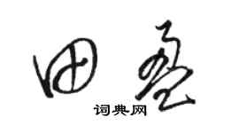 駱恆光田盈草書個性簽名怎么寫