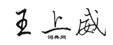 駱恆光王上威行書個性簽名怎么寫