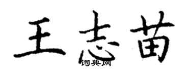 丁謙王志苗楷書個性簽名怎么寫
