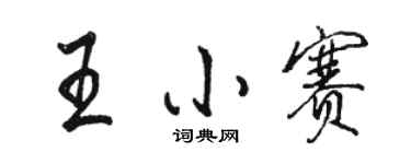 駱恆光王小賽行書個性簽名怎么寫