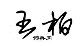 朱錫榮王柏草書個性簽名怎么寫