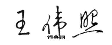 駱恆光王偉照草書個性簽名怎么寫