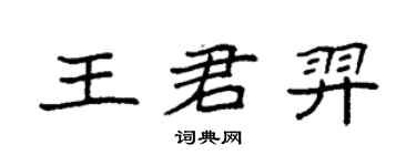 袁強王君羿楷書個性簽名怎么寫