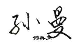 駱恆光孫曼行書個性簽名怎么寫