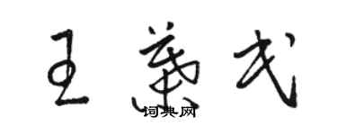 駱恆光王葉民草書個性簽名怎么寫