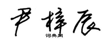 朱錫榮尹梓辰草書個性簽名怎么寫