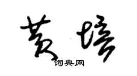 朱錫榮黃培草書個性簽名怎么寫