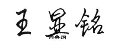 駱恆光王顯銘行書個性簽名怎么寫