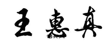 胡問遂王惠真行書個性簽名怎么寫