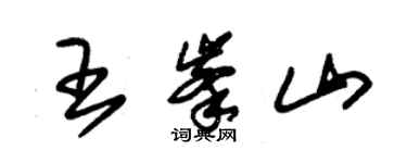 朱錫榮王峰山草書個性簽名怎么寫