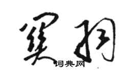 駱恆光關羽草書個性簽名怎么寫