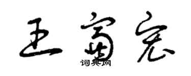 曾慶福王富宏草書個性簽名怎么寫