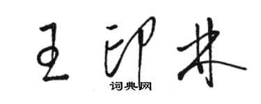 駱恆光王印林草書個性簽名怎么寫