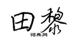 王正良田黎行書個性簽名怎么寫