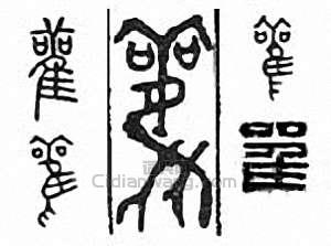 “鸛　雚”篆刻印章