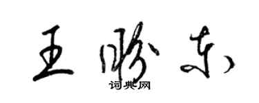 梁錦英王盼東草書個性簽名怎么寫