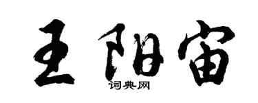 胡問遂王陽宙行書個性簽名怎么寫