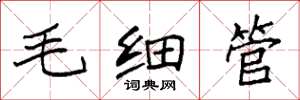袁強毛細管楷書怎么寫