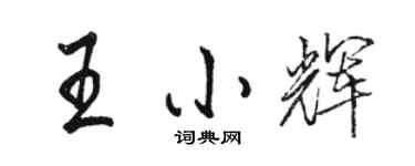 駱恆光王小輝行書個性簽名怎么寫