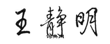 駱恆光王靜明行書個性簽名怎么寫