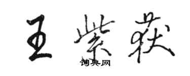 駱恆光王紫獲行書個性簽名怎么寫