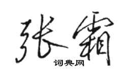 駱恆光張霜行書個性簽名怎么寫