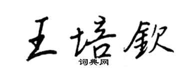 王正良王培欽行書個性簽名怎么寫