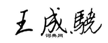 王正良王成驍行書個性簽名怎么寫