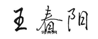 駱恆光王春陽行書個性簽名怎么寫