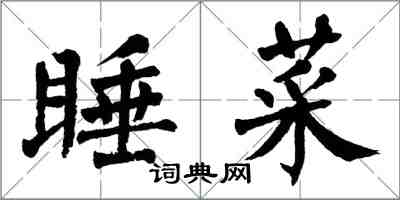 翁闓運睡菜楷書怎么寫