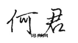 駱恆光何君行書個性簽名怎么寫